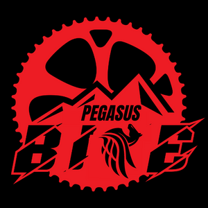 Pegasus Bike